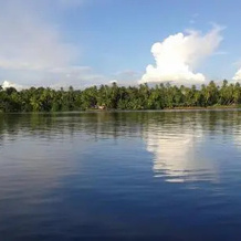 Big Banana Island Retreat, Vypin — photo 5