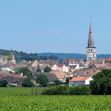 Gite le murger, Meursault — photo 4