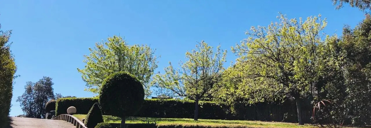 The Point BnB, Paynesville — photo 1