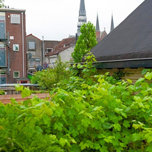 Het Suikerpandje, Gouda — photo 2