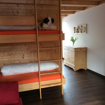 Bed and Breakfast Haag, Sennwald — photo 3