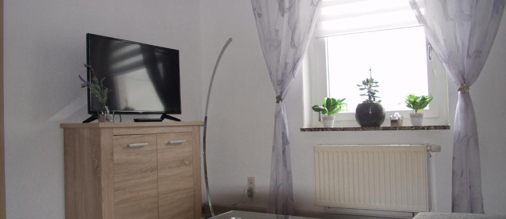 Ferienwohnung "Am Vaterlandsgrubenweg", 埃尔施尼茨 — 照片 1