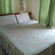 Malava Forest Lodge, Kakamega — photo 4