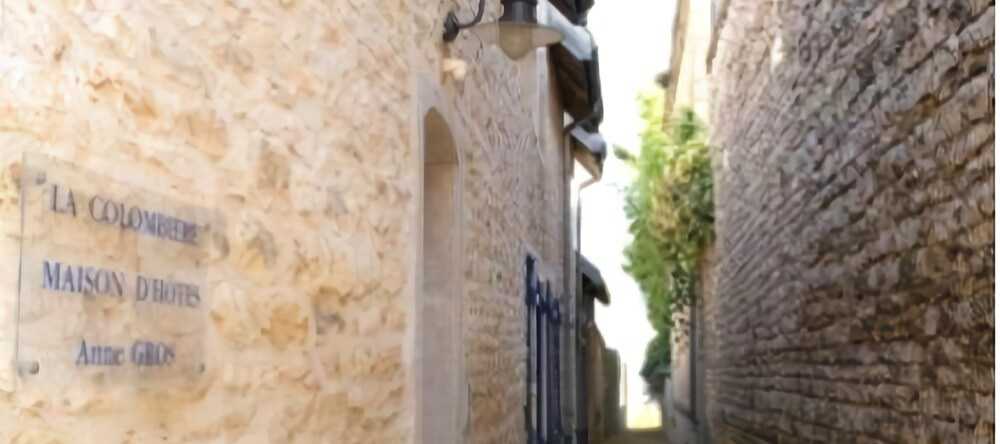 Maison dhtes la Colombire, 沃斯讷罗曼尼 — 照片 1