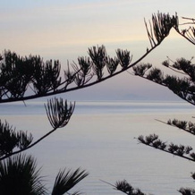 Pineta Sul Mare BB, 波利纳 — 照片 3