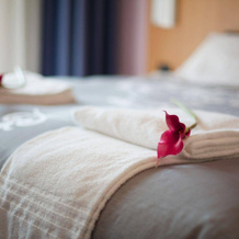 Anusca Palace Hotel, Castel San Pietro Terme — photo 5