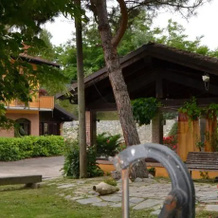 Trattoria Vecchio Mulino, Ньелла-Танаро — фото 2