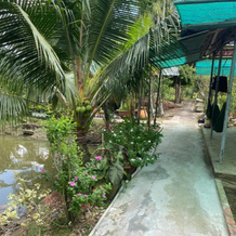 Ba Hung Homestay, Long Ho — photo 2