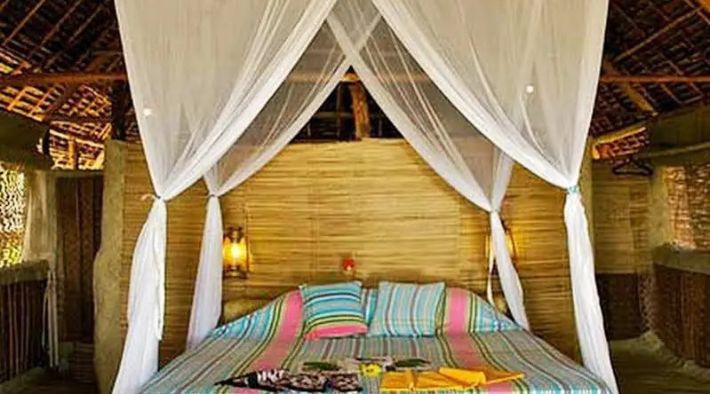 Kipungani Explorer, Lamu — photo 1