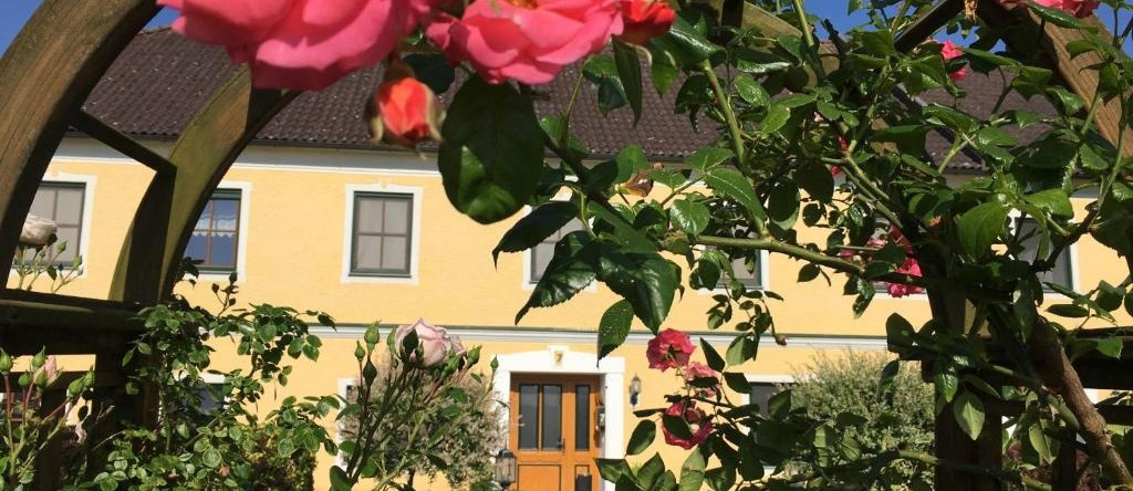 Familienbauernhof Strassbauer, 施泰纳基兴安姆福斯特 — 照片 1