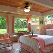 Areca Palms Estate Bed And Breakfast, 库克船长 — 照片 5