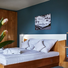 ElzLand Hotel Pfauen WELLNESS, SPA & VITALIS HOTEL, 埃尔察赫 — 照片 3