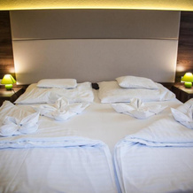 Hotel Jade - Ezüsthíd Hotel, 维斯普雷姆 — 照片 4