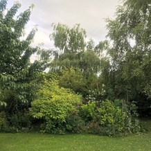 West Wold Farm House B&B, 巴罗厄姆亨伯 — 照片 3