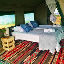 Chiefs - Namaqua Flower Camps, Kamieskroon — photo 2