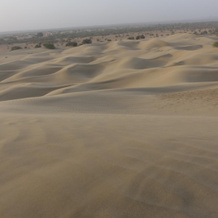 Chandani Desert Resort and Camp, Khochri — photo 3