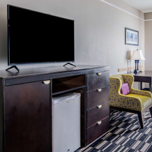 La Quinta Inn & Suites by Wyndham Alamo - McAllen East, Alamo — photo 4