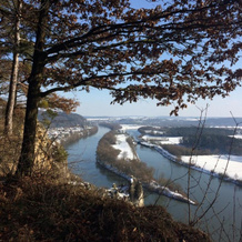 Idylle II an der Donau, 彭特林 — 照片 3