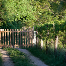 Dióliget - Zöld Dió Házikó, Velence — photo 5