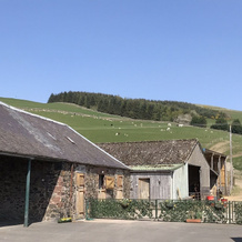 Winkston Courtyard Cottages, Эддлстон — фото 3