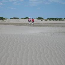 La Nanou'che (roulotte en Camargue), 勒卡亚尔 — 照片 2