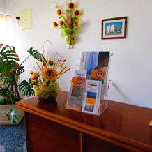 Apartment Camões, Almodôvar — photo 2