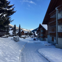 Edelweiss B31 - 3 Bedroom Apartment, Morgins — photo 3