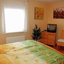 Ferienwohnung Lauterbach mit Kamin, 劳特巴赫 — 照片 5