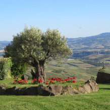 Appartamento Melograno In Casale Con Piscina - Val D'orcia, Радикофани — фото 5