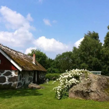 Bed & Breakfast Jägartorpet, Брумёлла — фото 5