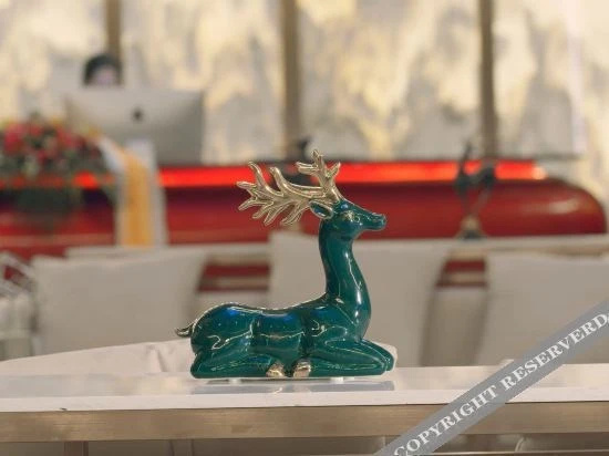 Kangding Yuling Snow Hotel, Kangding — photo 1