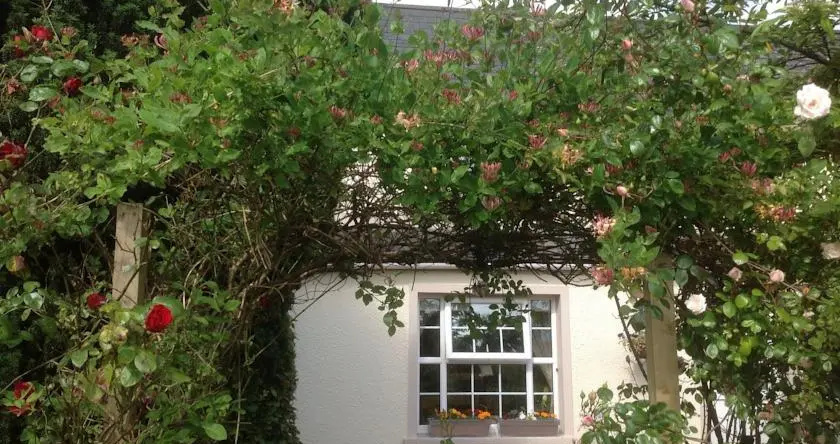 Culmore Cottage B&B, 伦敦德里 — 照片 1