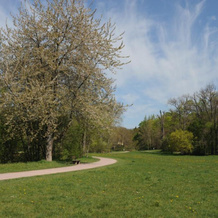 Weimar Ferienwohnung am Goethepark, 魏玛 — 照片 3