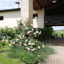 Corte Monticello, Barbarano Mossano — photo 4