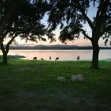 Medina Lake Camping Resort Cabin 7, Pipe Creek — photo 4