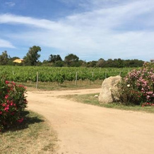 Agriturismo Campesi, 阿连特茹 — 照片 2