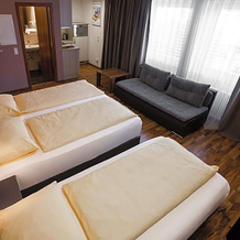 Zum Ziel Hotel Grenzach-Wyhlen Bei Basel, Гренцах-Вилен — фото 3
