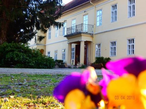 Kastélyszálló Szarkavár, Kutas — photo 1