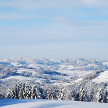 Wolfensberg, Neckertal — photo 3