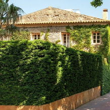 L'hort De Sant Cebrià, Торроэлья-де-Флувья — фото 4