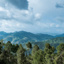 The Kumaon, 阿尔莫拉 — 照片 2