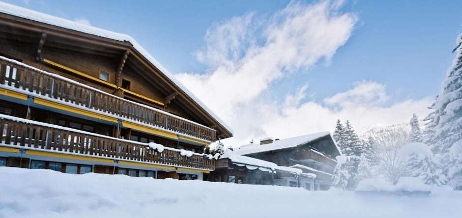Hotel Alpine Lodge, 扎嫩 — 照片 1