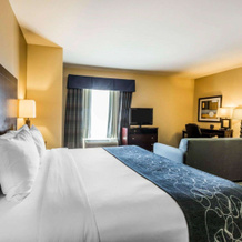 Comfort Suites  Pell CIty near Logan Martin Lake, Pell City — photo 4