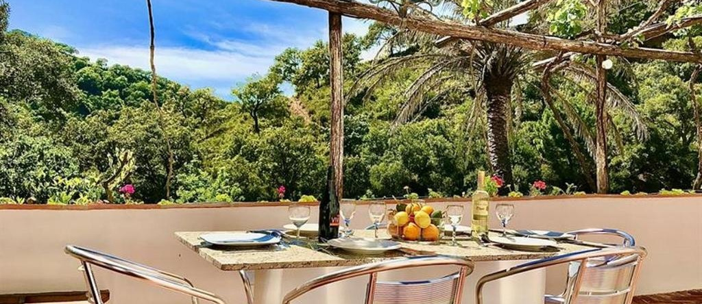 Hide Away In Spain farmhouse 4, 赫纳尔瓜西尔 — 照片 1