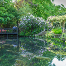 The Garth Guest Suite Studio Cottage, 灵菲尔德 — 照片 3