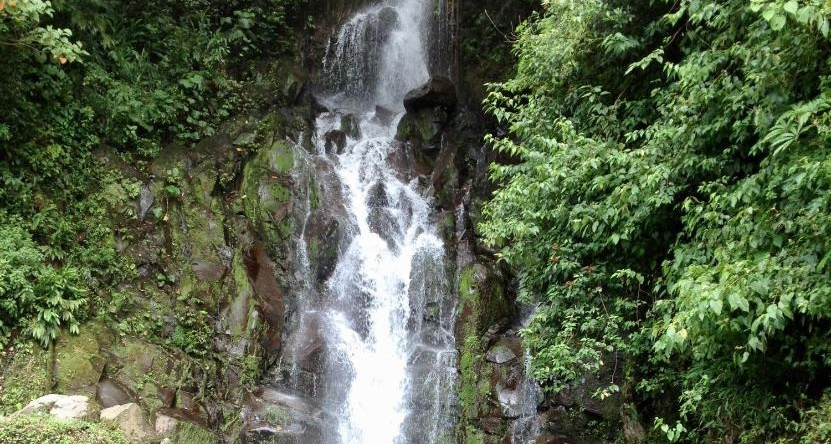 Finca Caramelo, Альто-Бокете — фото 1