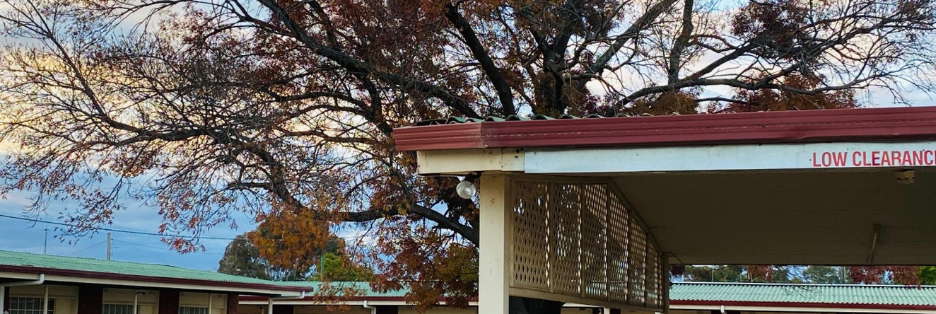 County Lodge Motor Inn, 西怀厄朗 — 照片 1