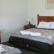 The Vineyard Motel, 考拉 — 照片 4