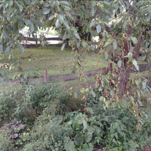 Ferienwohnung Weitblick, 洛因 — 照片 5
