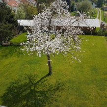 Apartment near Frankfurt, fantastic view!, 乌辛根 — 照片 2